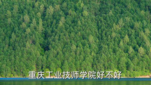 重慶工業技師學院好不好