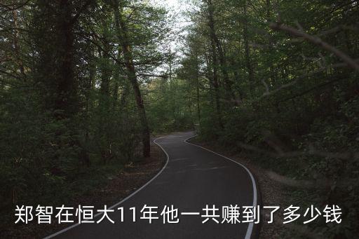 鄭智在恒大11年他一共賺到了多少錢