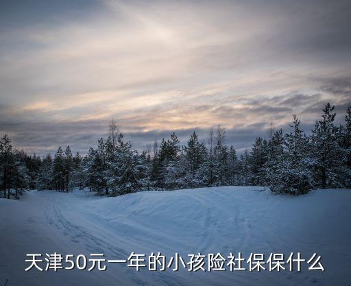 天津50元一年的小孩險社保保什么