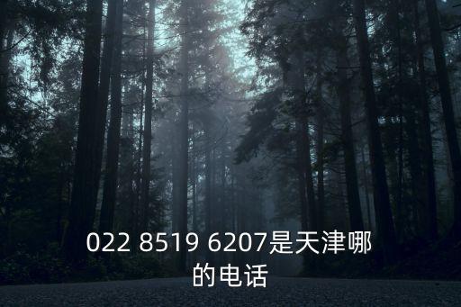 022 8519 6207是天津哪的電話(huà)