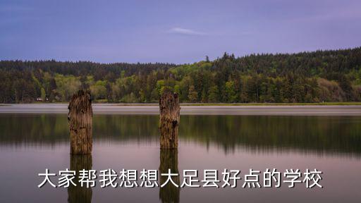 大家?guī)臀蚁胂氪笞憧h好點的學校