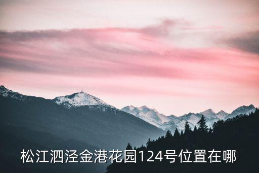 松江泗涇金港花園124號位置在哪