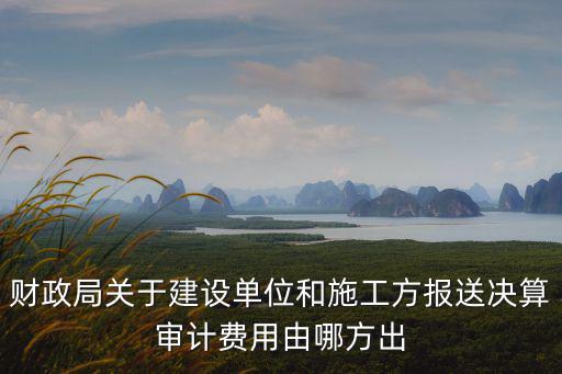 財政局關(guān)于建設(shè)單位和施工方報送決算審計費用由哪方出