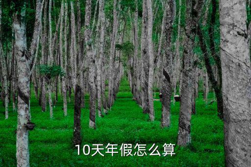 10天年假怎么算
