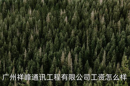 廣州祥峰通訊工程有限公司工資怎么樣