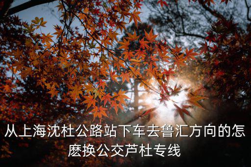 從上海沈杜公路站下車去魯匯方向的怎麼換公交蘆杜專線