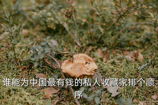 廣州國巨商貿有限公司，廣東東莞塘廈有幾個工業(yè)區(qū)