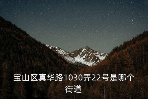 寶山區(qū)真華路1030弄22號是哪個街道