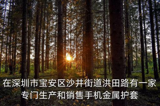 深圳戴勝科技有限公司，深圳有哪些做手機鏡片企業
