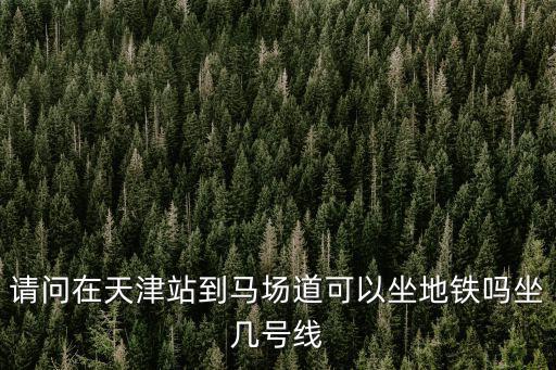 請問在天津站到馬場道可以坐地鐵嗎坐幾號線