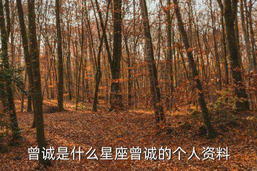 廣州恒大淘曾誠，曾誠是什么星座曾誠的個人資料