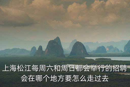 上海松江每周六和周日都會(huì)舉行的招聘會(huì)在哪個(gè)地方要怎么走過去