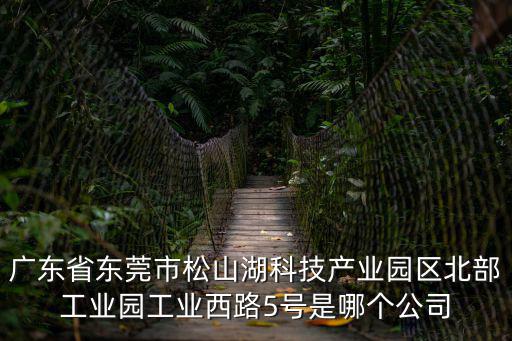 廣東省東莞市松山湖科技產(chǎn)業(yè)園區(qū)北部工業(yè)園工業(yè)西路5號(hào)是哪個(gè)公司
