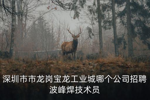 深圳市市龍崗寶龍工業城哪個公司招聘波峰焊技術員