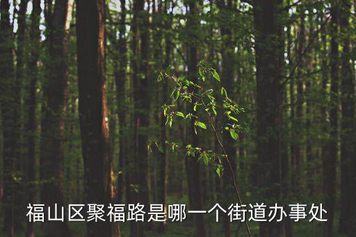 福山區聚福路是哪一個街道辦事處