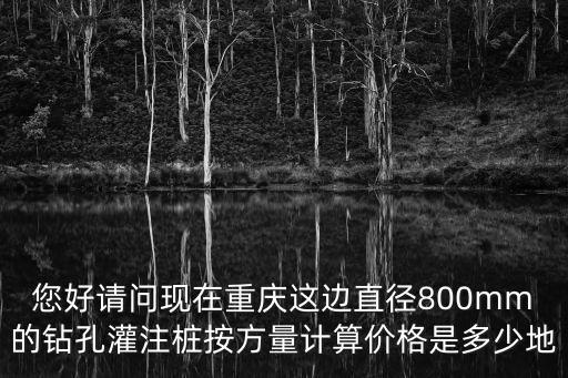 重慶市鉆孔灌注樁每立方多少錢，您好請問現在重慶這邊直徑800mm的鉆孔灌注樁按方量計算價格是多少地
