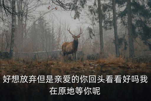 好想放棄但是親愛的你回頭看看好嗎我在原地等你呢