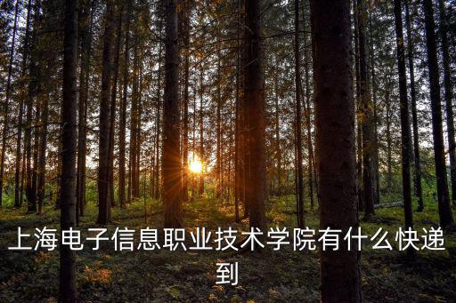 上海電子信息職業技術學院有什么快遞到