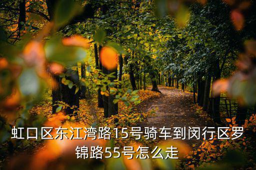 虹口區東江灣路15號騎車到閔行區羅錦路55號怎么走