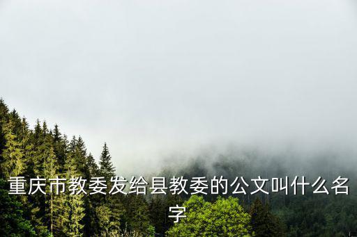 重慶市教委發(fā)給縣教委的公文叫什么名字