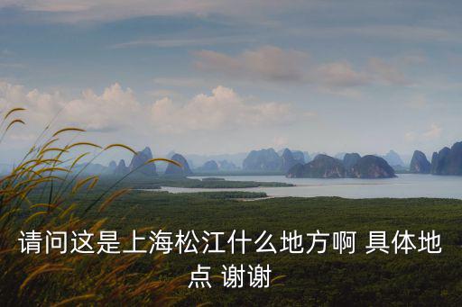 請問這是上海松江什么地方啊 具體地點 謝謝