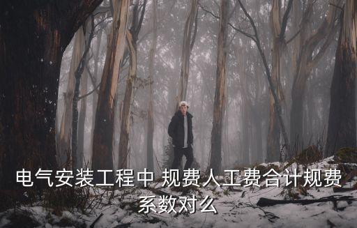 電氣安裝工程中 規費人工費合計規費系數對么