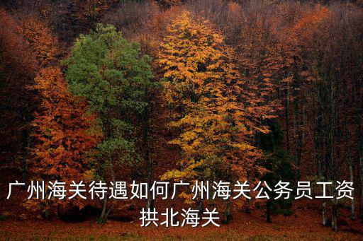 廣州海關(guān)待遇如何廣州海關(guān)公務(wù)員工資拱北海關(guān)