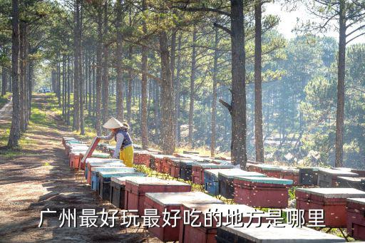 廣州最好玩最好吃的地方是哪里