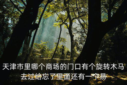 天津市里哪個商場的門口有個旋轉木馬去過給忘了里面還有一個易