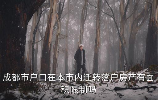 成都市全面放開落戶限制，成都會放開限購房子的限制嗎