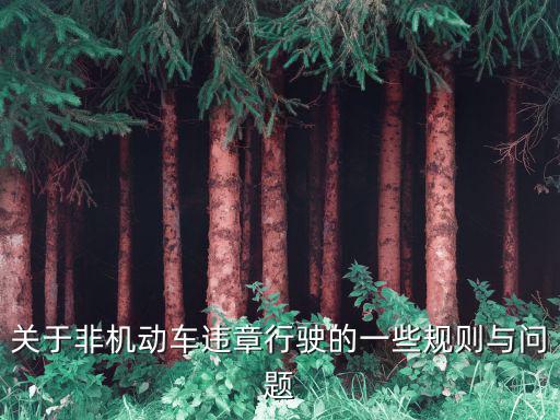 關于非機動車違章行駛的一些規則與問題