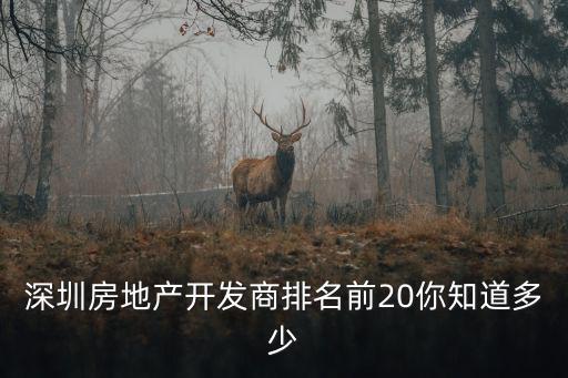深圳房企 50強(qiáng)，深圳都有哪些房地產(chǎn)開發(fā)商