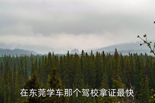 在東莞學(xué)車那個駕校拿證最快