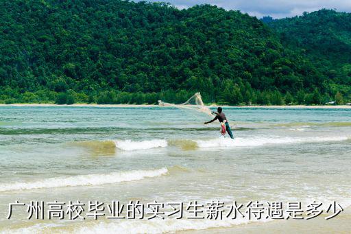 廣州高校畢業的實習生薪水待遇是多少