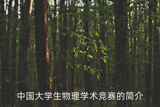 中國(guó)大學(xué)生物理學(xué)術(shù)競(jìng)賽的簡(jiǎn)介