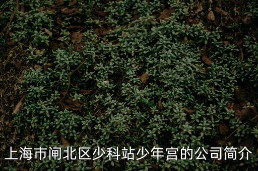 上海市閘北區少科站少年宮的公司簡介