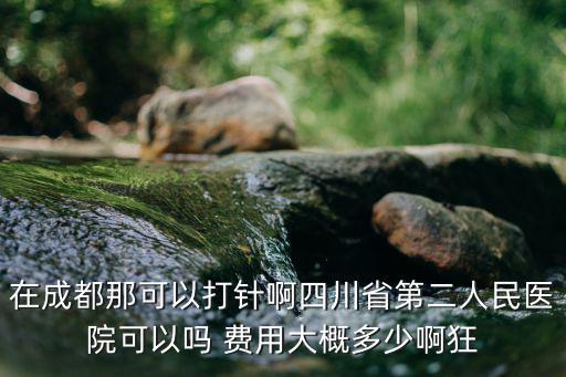 成都市二醫院可以打疫苗嗎，成都市新都區新繁二醫院可以打狂犬疫苗嗎