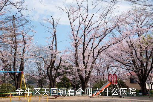 金牛區(qū)天回鎮(zhèn)有個(gè)叫六什么醫(yī)院
