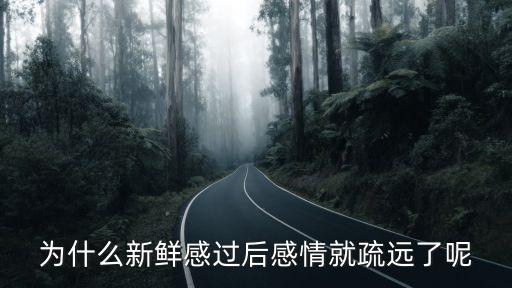 為什么新鮮感過后感情就疏遠了呢
