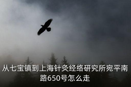 從七寶鎮到上海針灸經絡研究所宛平南路650號怎么走