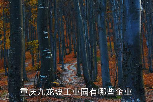 重慶九龍坡工業園有哪些企業