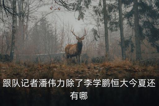 跟隊記者潘偉力除了李學鵬恒大今夏還有哪