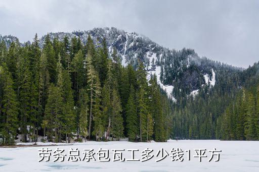 勞務總承包瓦工多少錢1平方
