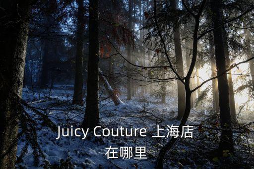 Juicy Couture 上海店在哪里