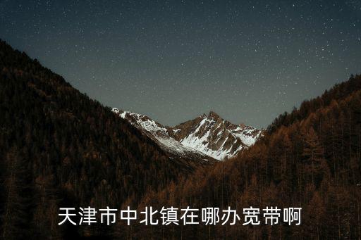 天津市中順津?qū)氒噭?wù)，天津市中順津?qū)毱嚪?wù)有限公司是國(guó)企還是私企