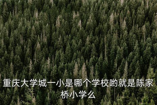 重慶大學城一小是哪個學校喲就是陳家橋小學么