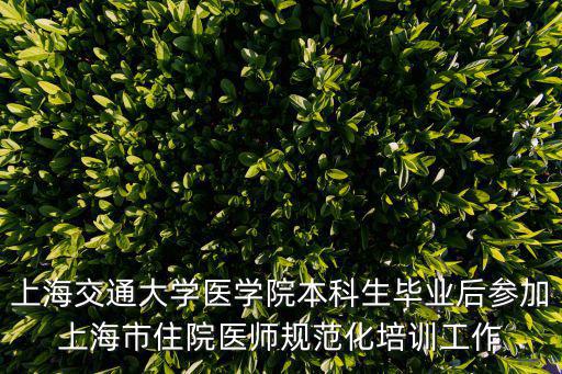上海市承認的規培證，上海交通大學醫學院本科生畢業后參加上海市住院醫師規范化培訓工作