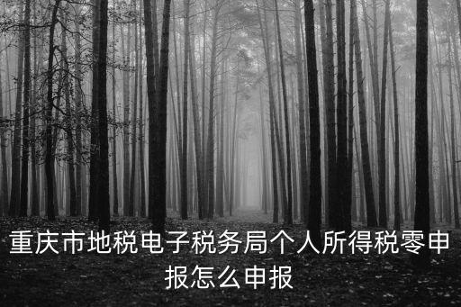 重慶市地稅電子稅務局個人所得稅零申報怎么申報
