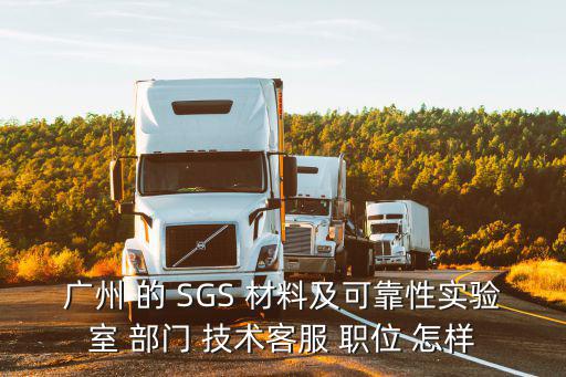 廣州 的 SGS 材料及可靠性實驗室 部門 技術客服 職位 怎樣