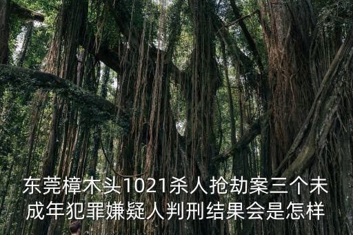 東莞樟木頭1021殺人搶劫案三個未成年犯罪嫌疑人判刑結果會是怎樣